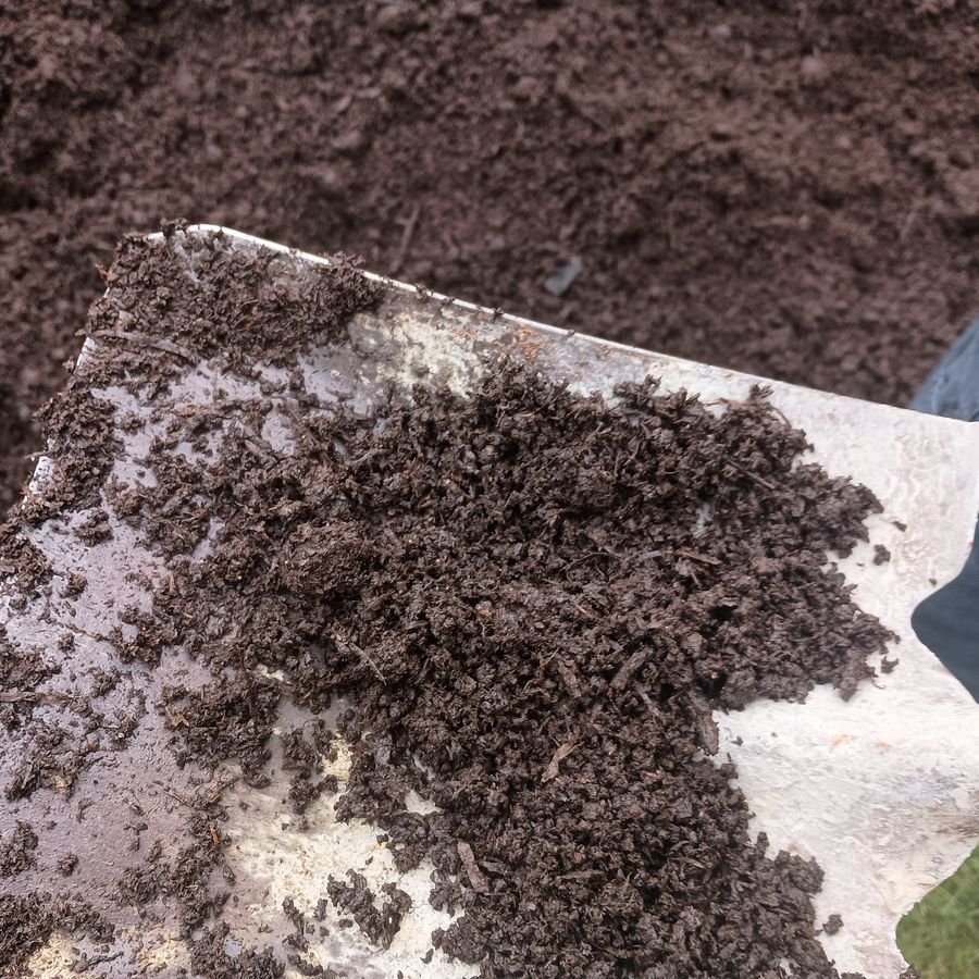 Topsoil close-up